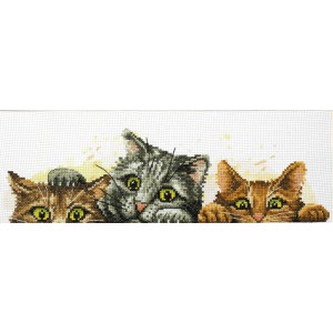 Voorbedrukt borduurpakket...