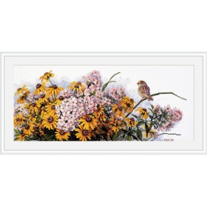 Cross stitch kit Black Eyed...