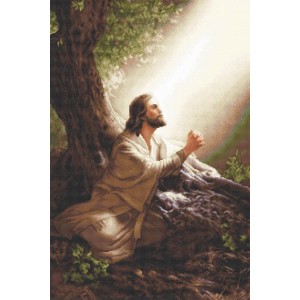 Borduurpakket Jesus Christ...
