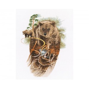Borduurpakket Forester - RTO