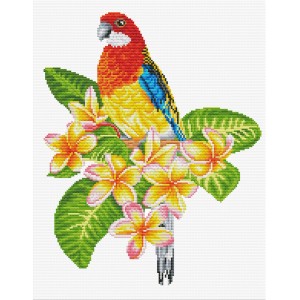 Pre-printed cross stitch...