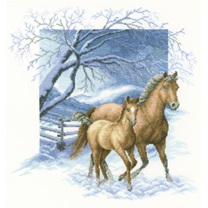 Cross Stitch Kit Beyond the...