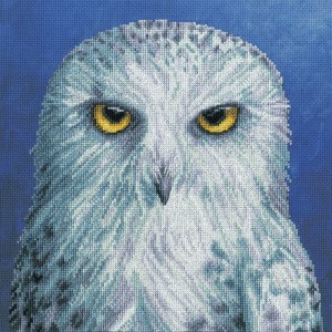 Borduurpakket Rachel Froud...
