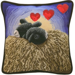 Petit Point borduurpakket...