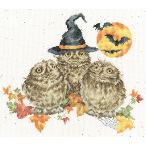 Cross stitch kit Hannah...