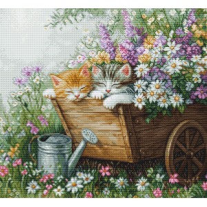 Cross stitch kit Kittens'...