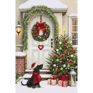 Cross stitch kit Waiting...