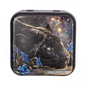 Starry Dreams Metallic Box...