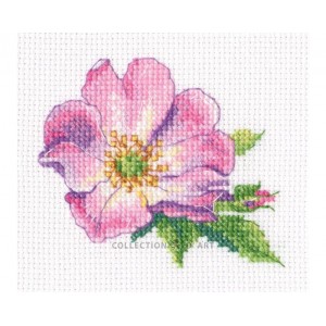 Cross stitch kit Wild Rose...