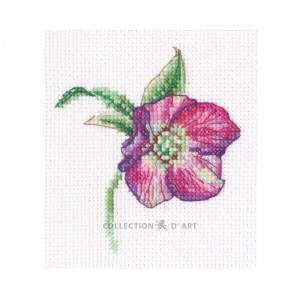 Borduurpakket Hellebore - RTO