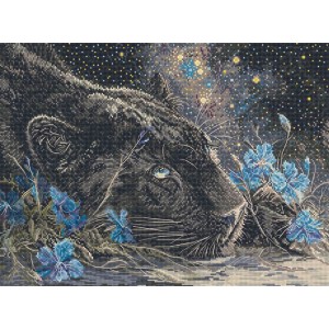 Cross stitch kit Starry...