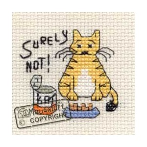 Cross Stitch Kit Surely Not...