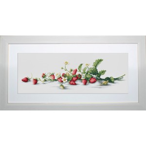 Cross Stitch Kit Etude with...