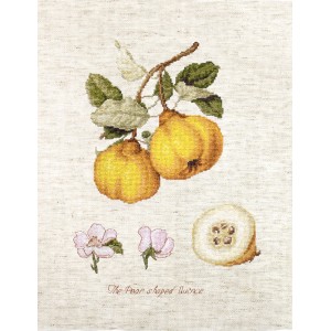 Cross stitch kit The Pear...