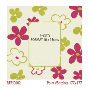 Borduurpatroon Photoframe...