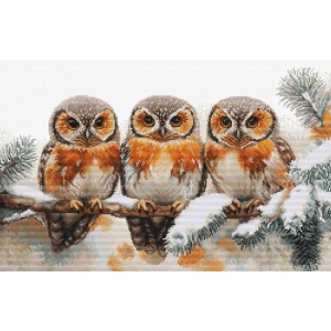 Borduurpakket Owls in The...