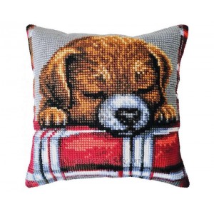 Kussen uittel borduurpakket...