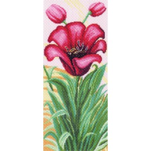 Voorbedrukt Aida Tulips...