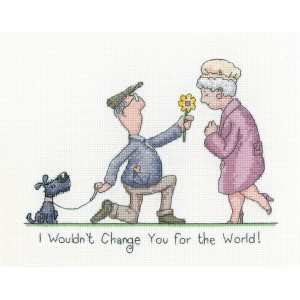 Cross stitch kit I Wouldn't...
