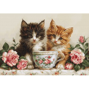 Borduurpakket Two Kittens -...