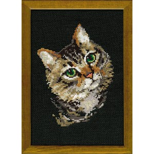 Borduurpakket Grey Cat -...