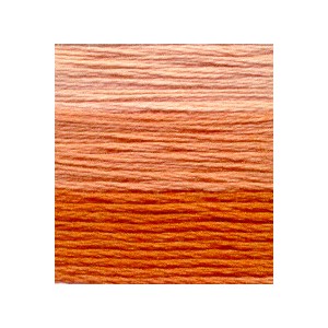 Venus Borduurgaren ombré 25...