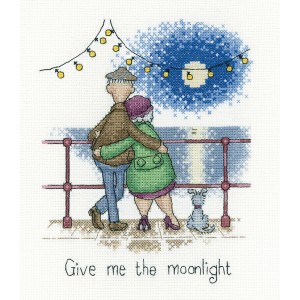 Cross stitch kit Moonlight...