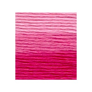 Venus Borduurgaren ombré 25...