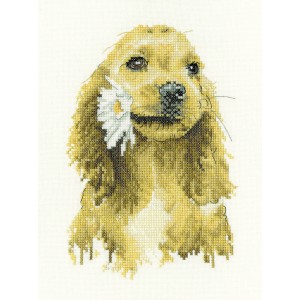Borduurpakket Daisy Cocker...
