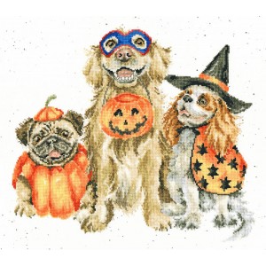Cross stitch kit Hannah...