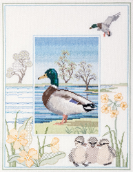 Cross stitch kit Wildlife - Mallard - Derwentwater Designs