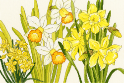 Cross stitch kit Daffodil Blooms - Bothy Threads