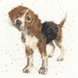 Cross stitch kit Hannah Dale - Beagle - Bothy Threads