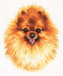 Borduurpakket Pomeranian - Magic Needle