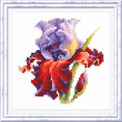 Cross stitch kit Iris - Magic Needle