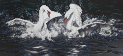 Diamond Painting White Swans - Freyja Crystal