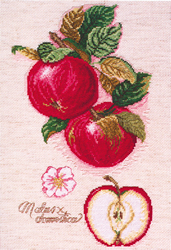 Borduurpakket Apples - Janlynn