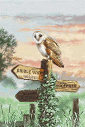 Borduurpakket Barn Owl - Leti Stitch