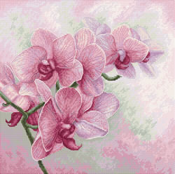 Borduurpakket Graceful Orchids  - Luca-S