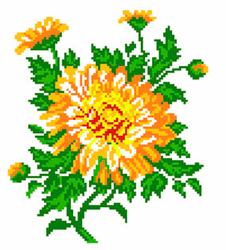 Voorbedrukt Aida Calendula Flower - Matryonin Posad