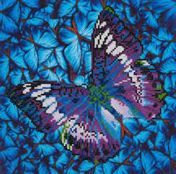 Diamond Dotz Flutter by Mauve - Needleart World