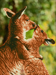 Diamond Dotz Kissing Kangas - Needleart World