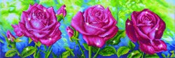 Diamond Dotz 
Les Roses du Jardin - Needleart World