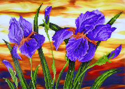 Diamond Dotz Iris Sunset - Needleart World