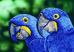 Diamond Dotz Blue Hyacinth Macaws - Needleart World