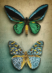 Diamond Dotz Antique Butterflies - Needleart World