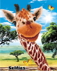 Diamond Dotz Hey There - Needleart World