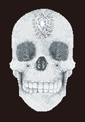 Diamond Dotz Crystal Skull - Needleart World