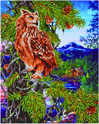 Diamond Dotz Twilight Wisdom - Needleart World