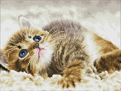 Diamond Dotz Baby Pie - Needleart World